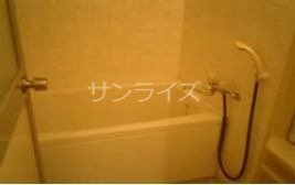 ティピカルタルミの風呂写真
