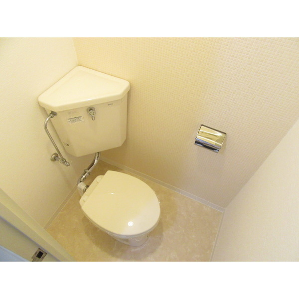 トイレ　トイレスペースです