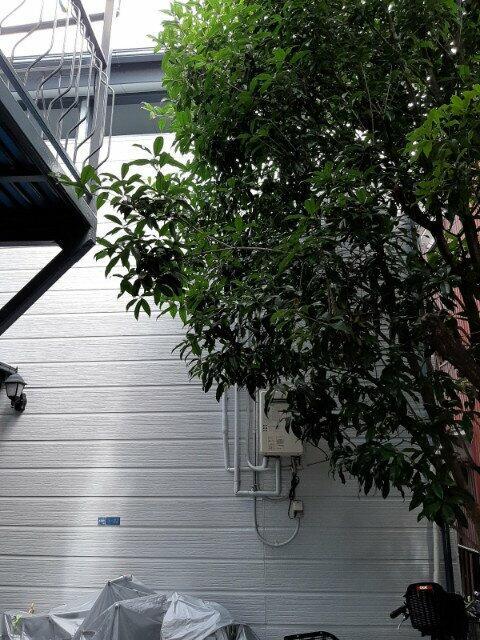 その他　?