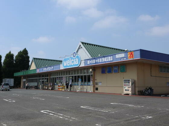 スーパー　ウエルシア茨城五霞店（スーパー）まで261m