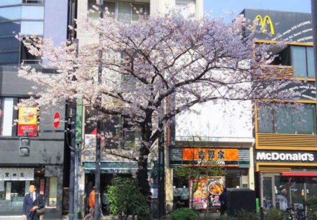 コンビニ　ローソン日本橋浜町二丁目店（コンビニ）まで182m