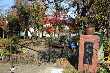 公園　新池公園（公園）まで953m