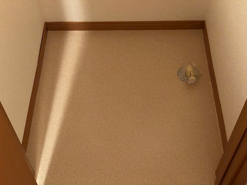 玄関　玄関です