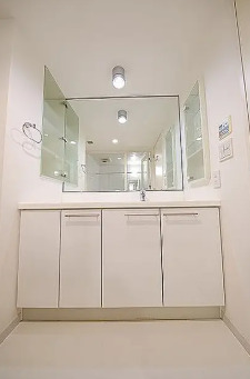 洗面設備　別タイプ部屋　参考写真です