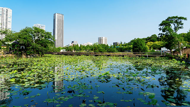公園　不忍池（公園）まで1445m