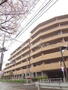 KS桜川 1階 築26年の賃貸物件