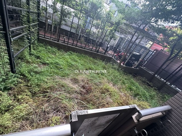 庭