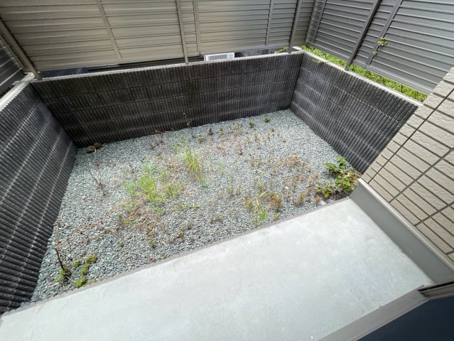 庭