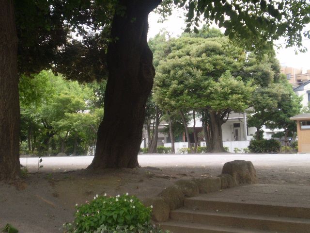 公園　滝野公園（公園）まで160m