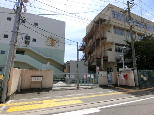 小学校　堺市立三国丘小学校（小学校）まで495m