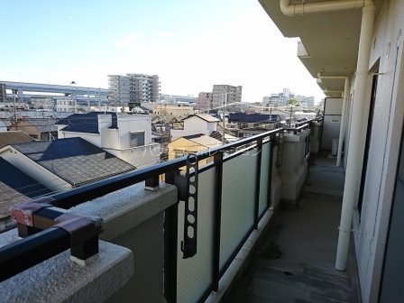 グレース千鳥のその他写真
