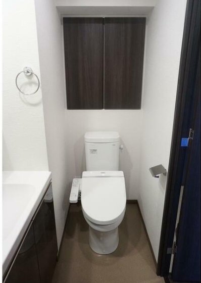 東急田園都市線 駒沢大学駅 徒歩4分 10階建 築10年のトイレ写真