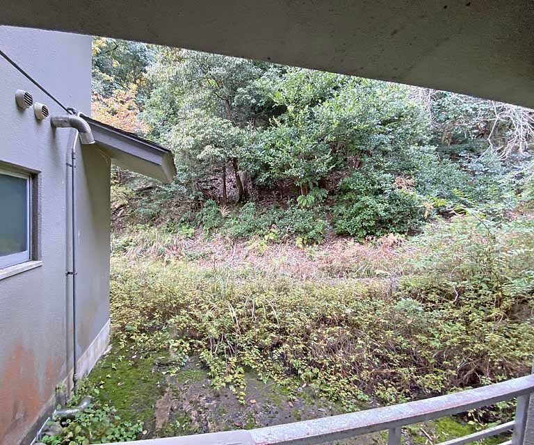 眺望　窓からの景色です。