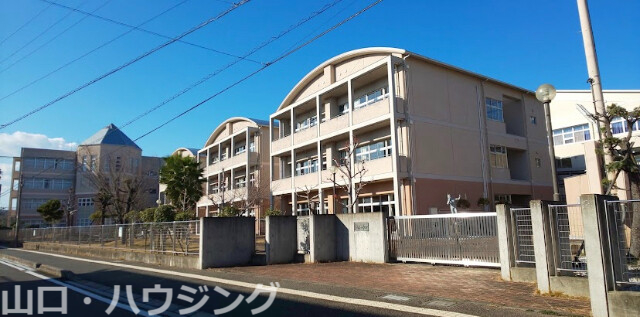 中学校　徳島市立徳島中学校（中学校）まで824m