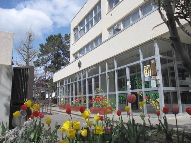 小学校　札幌市立中央小学校（小学校）まで817m