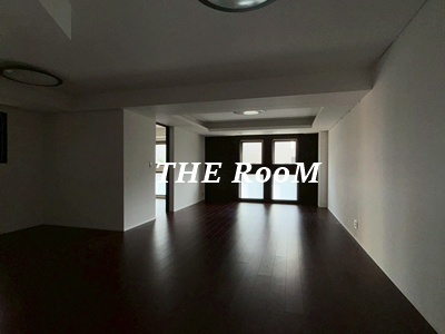 居室・リビング　※電気付いていない状態です