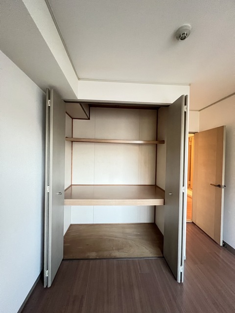 収納　リノベ前写真