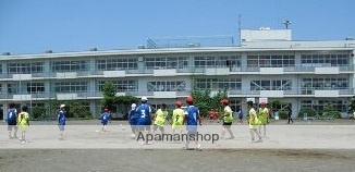 小学校　伊勢原市立大田小学校（小学校）まで1156m