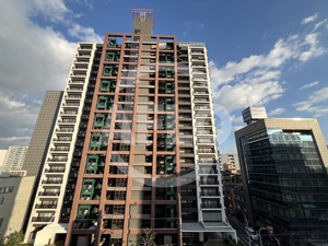 眺望　パディーブレイドII眺望