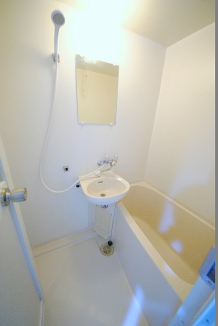 バス・シャワールーム　写真は２０６号室