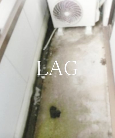 バルコニー　バルコニーです。