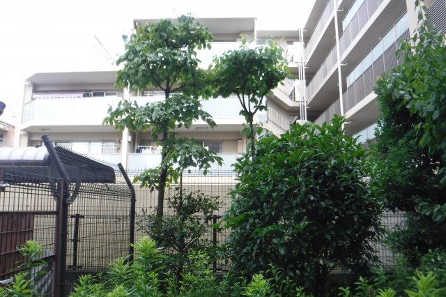 眺望　他のお部屋の参考写真となります。