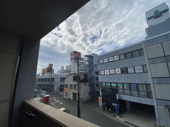 眺望　※別部屋の写真です