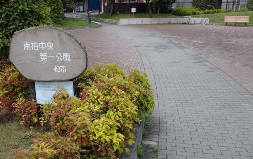 公園　南柏中央第一公園（公園）まで538m