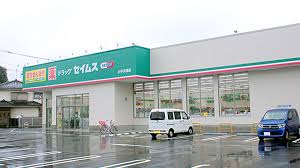 ドラックストア　ドラッグセイムス小平天神店（ドラッグストア）まで911m