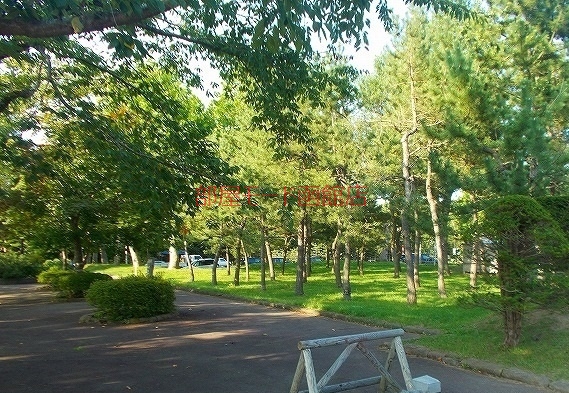 その他　市民の森（その他）まで220m