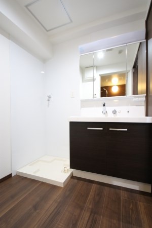 洗面設備　※別部屋参考写真。現状優先です。
