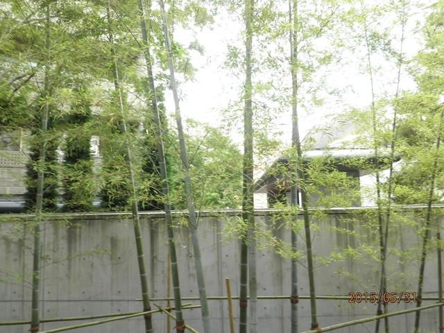 眺望　景色