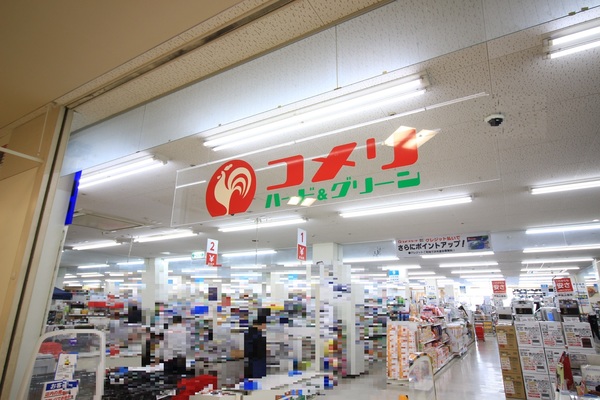 ホームセンター　コメリホームセンター出来島店（ホームセンター）まで430m