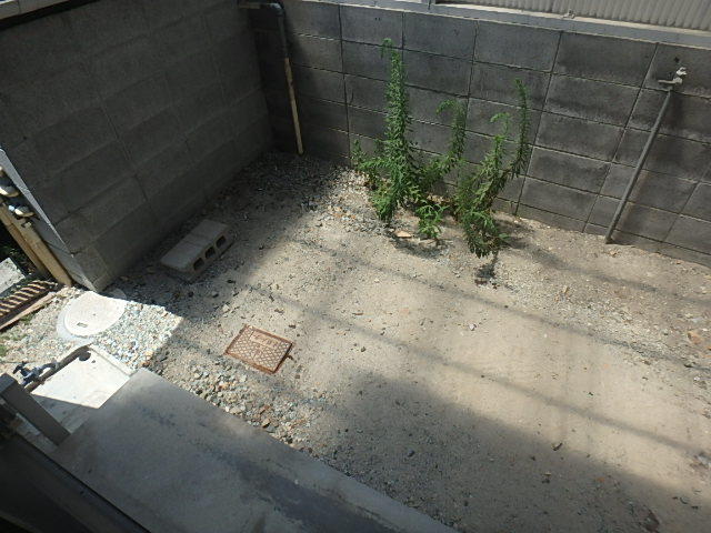 庭