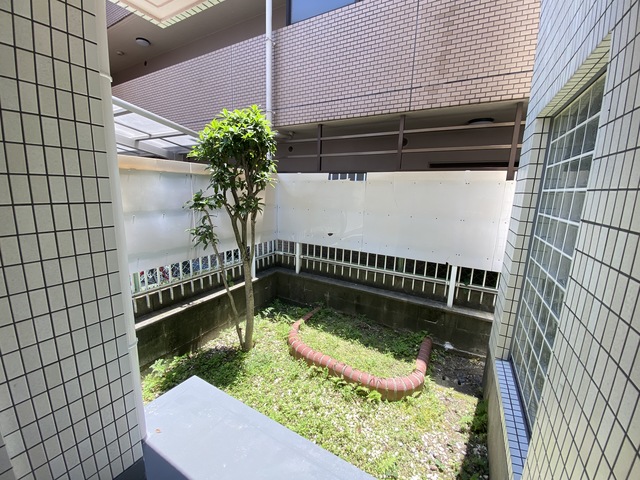 庭