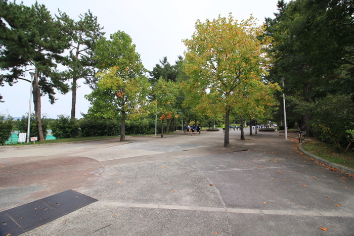 公園　服部緑地公園（公園）まで250m
