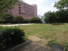 公園　蔵前公園（公園）まで319m