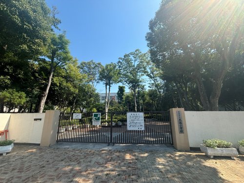 小学校　尼崎市立成徳小学校（小学校）まで537m