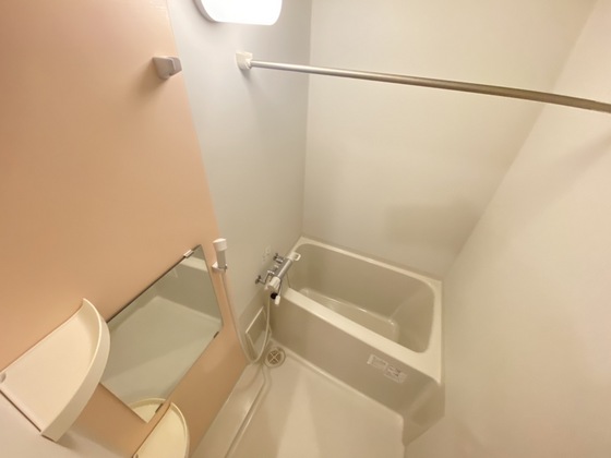 バス・シャワールーム　※別部屋の写真です