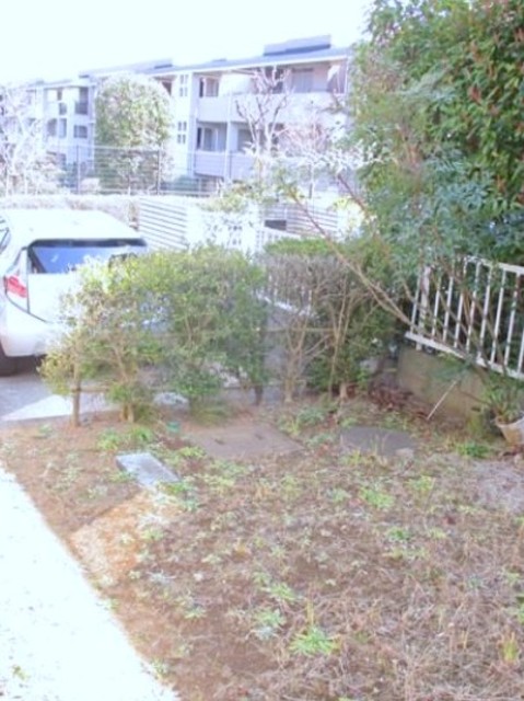 庭