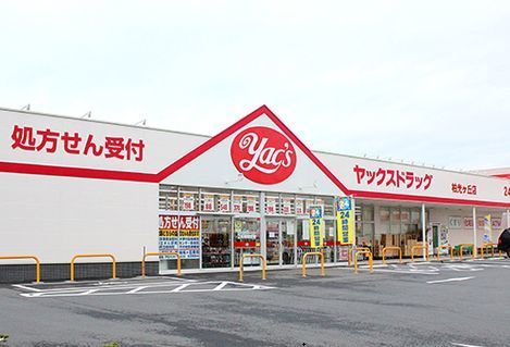 ドラックストア　ヤックス柏光ヶ丘店（ドラッグストア）まで750m