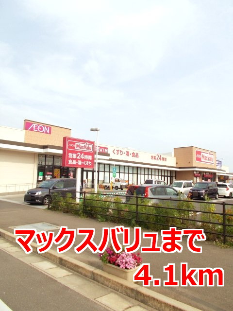その他　マックスバリュまで4100m