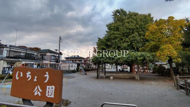公園　いちょう公園（公園）まで260m