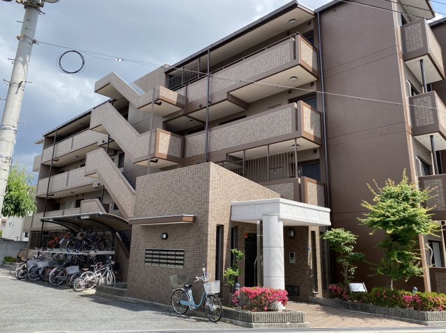 エガミス山坂