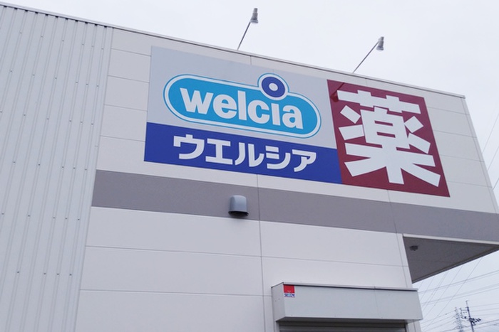 ドラックストア　ウエルシア 岡崎医療センター前店（ドラッグストア）まで858m