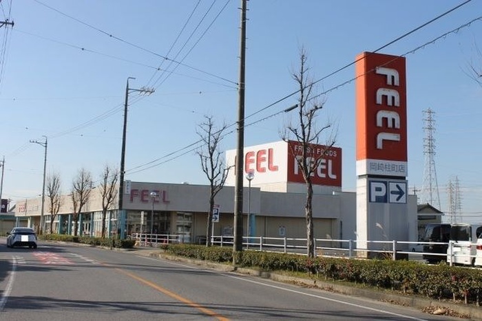 スーパー　フィール岡崎柱町店（スーパー）まで598m
