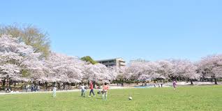 公園　蕨市民公園（公園）まで816m