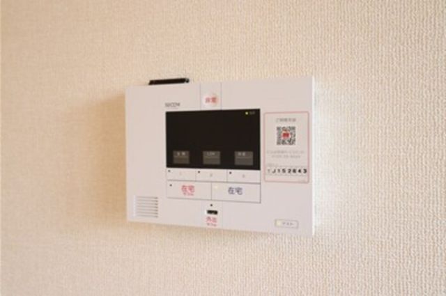 アレグリアのその他写真