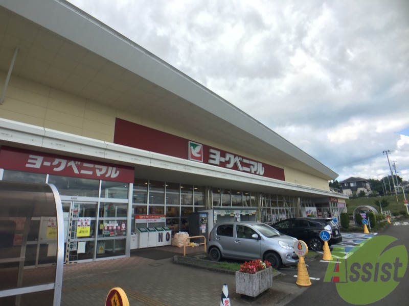 スーパー　ヨークベニマル南中山店（スーパー）まで1043m