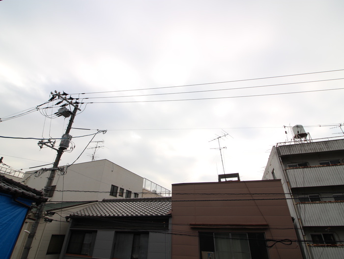 Solana Koujinのその他写真